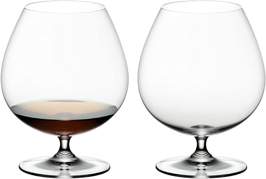 Riedel Vinum Extreme Martini Liquor Cocktail Glasses Set (2